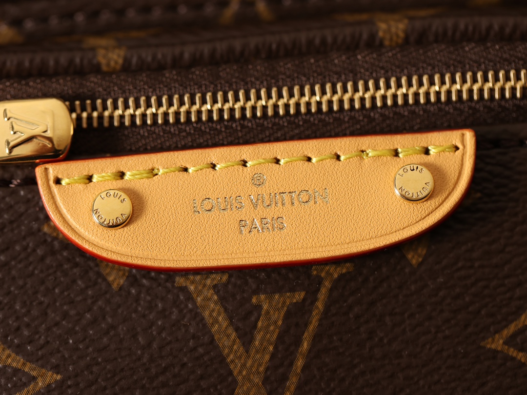 LOUIS VUITTON LV Monogram Mini Bumbag - Bag