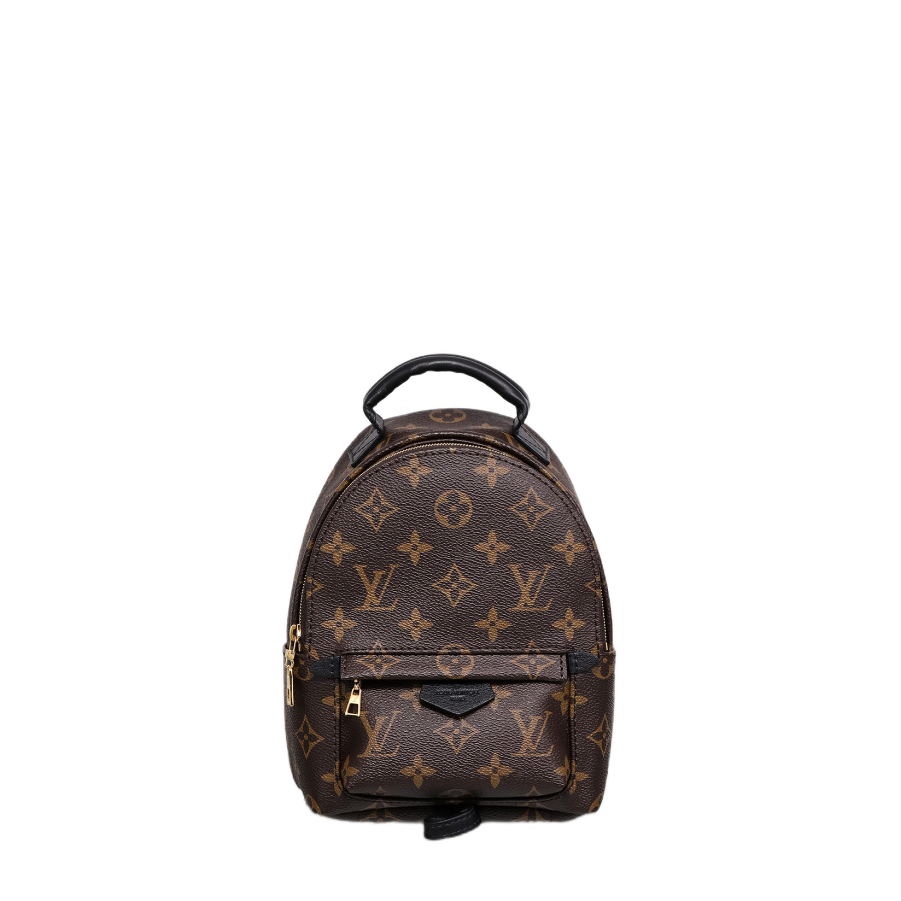 LOUIS VUITTON LV Monogram Palm Springs Backpack Mini - Bag