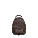 LOUIS VUITTON LV Monogram Palm Springs Backpack Mini - Bag