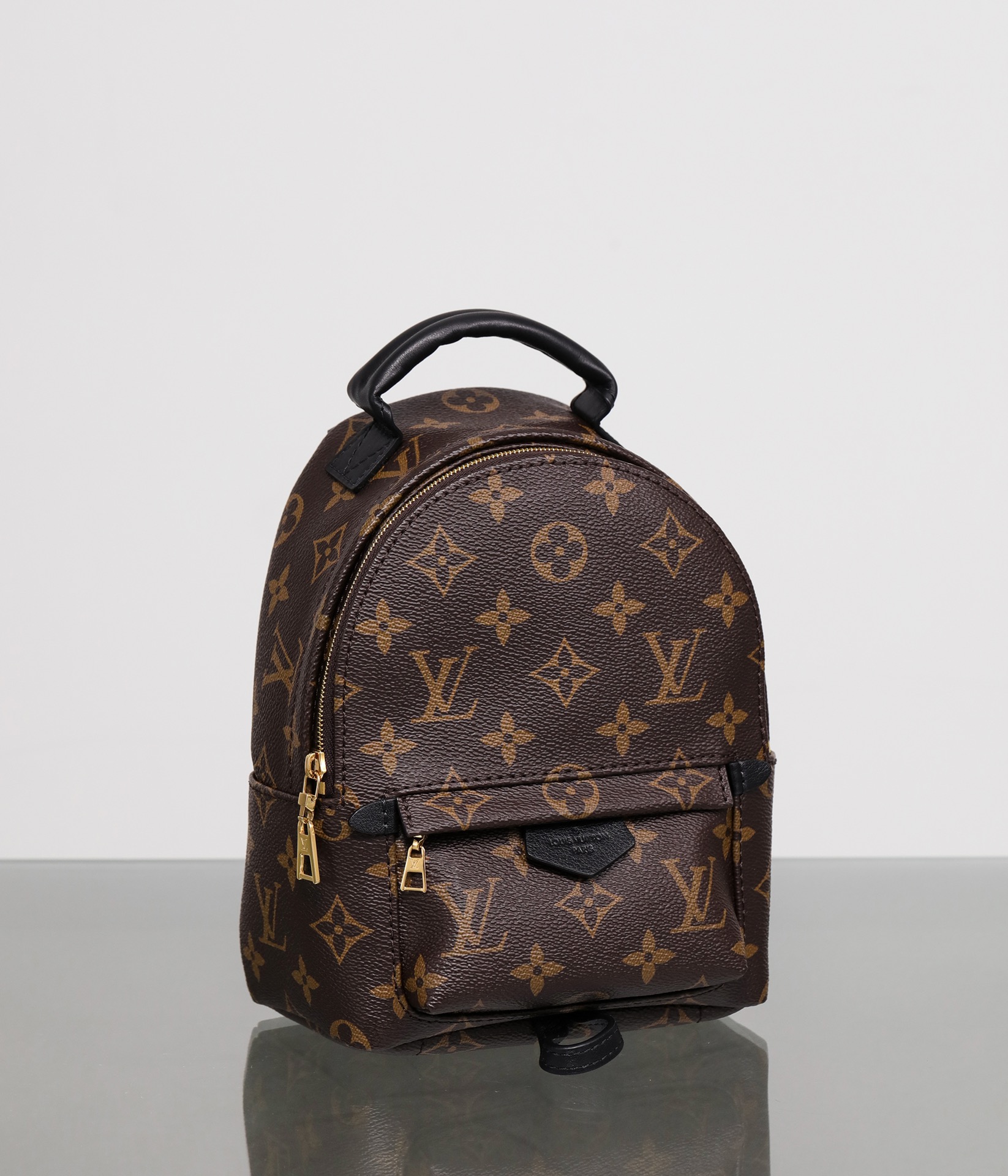 LOUIS VUITTON LV Monogram Palm Springs Backpack Mini - Bag