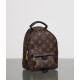 LOUIS VUITTON LV Monogram Palm Springs Backpack Mini - Bag