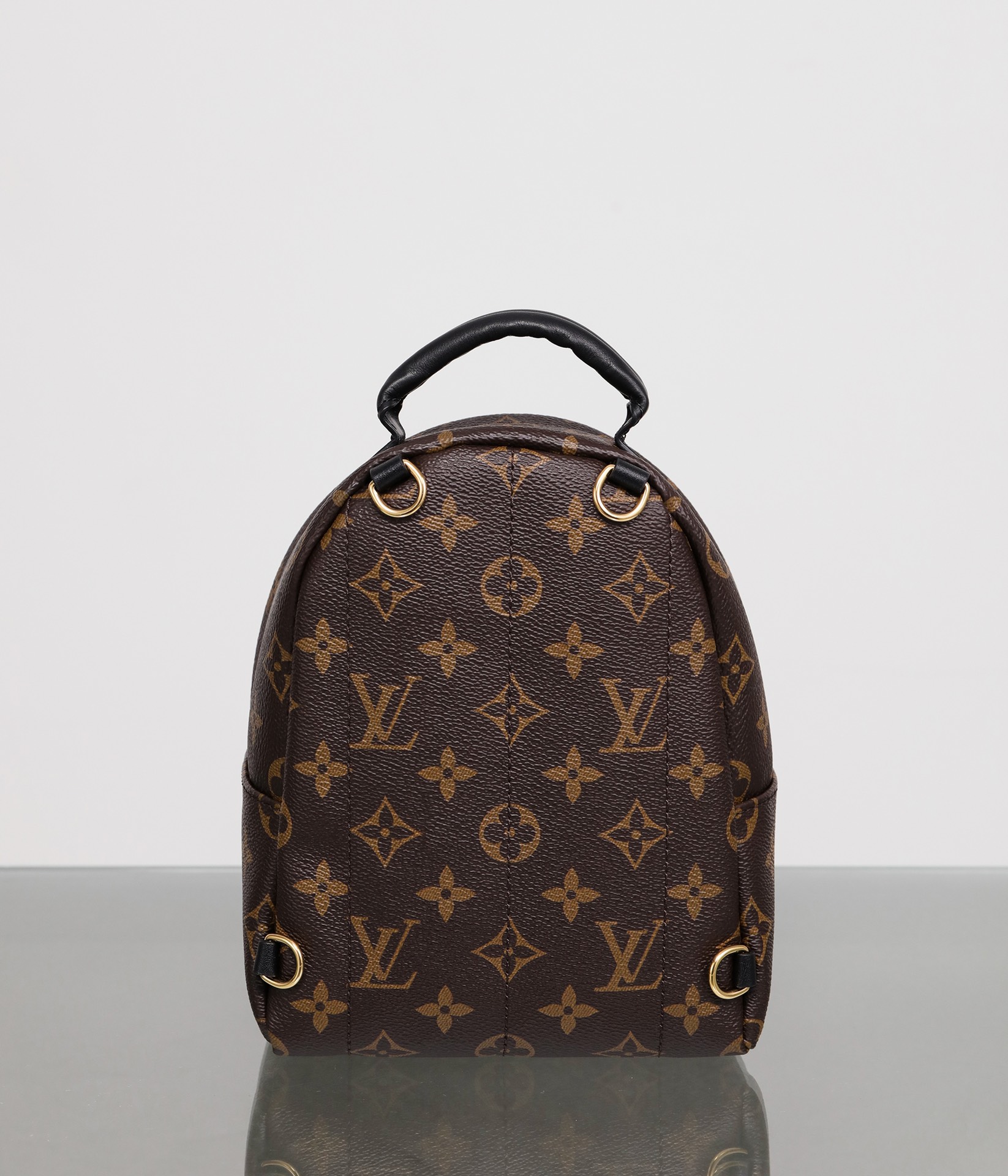 LOUIS VUITTON LV Monogram Palm Springs Backpack Mini - Bag