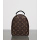 LOUIS VUITTON LV Monogram Palm Springs Backpack Mini - Bag