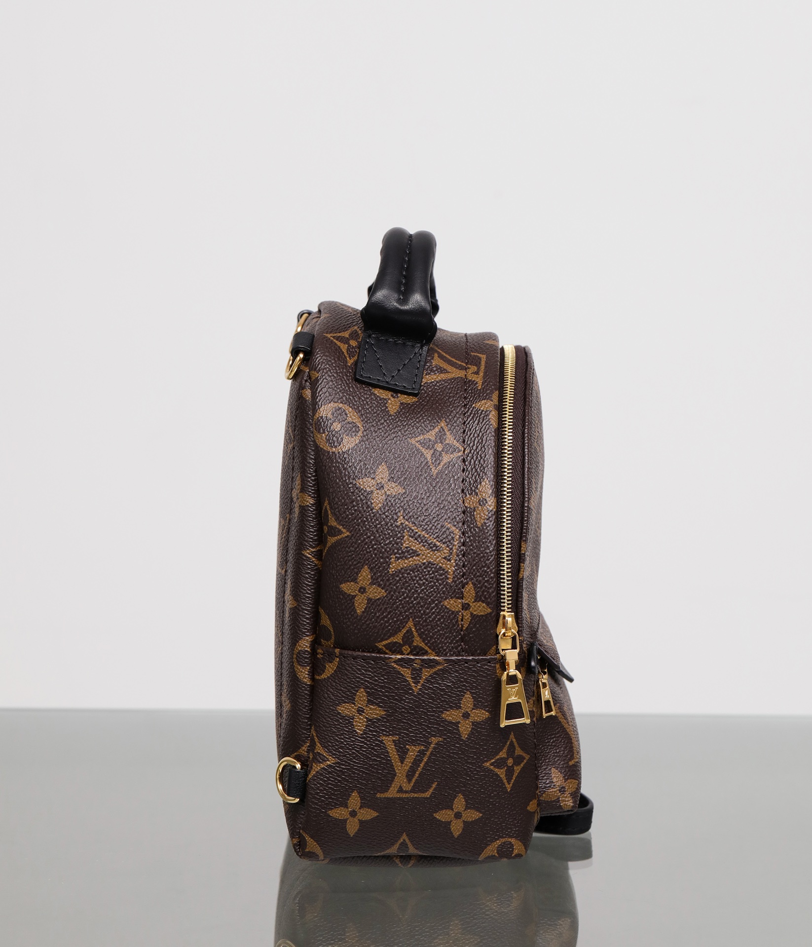 LOUIS VUITTON LV Monogram Palm Springs Backpack Mini - Bag