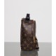 LOUIS VUITTON LV Monogram Palm Springs Backpack Mini - Bag