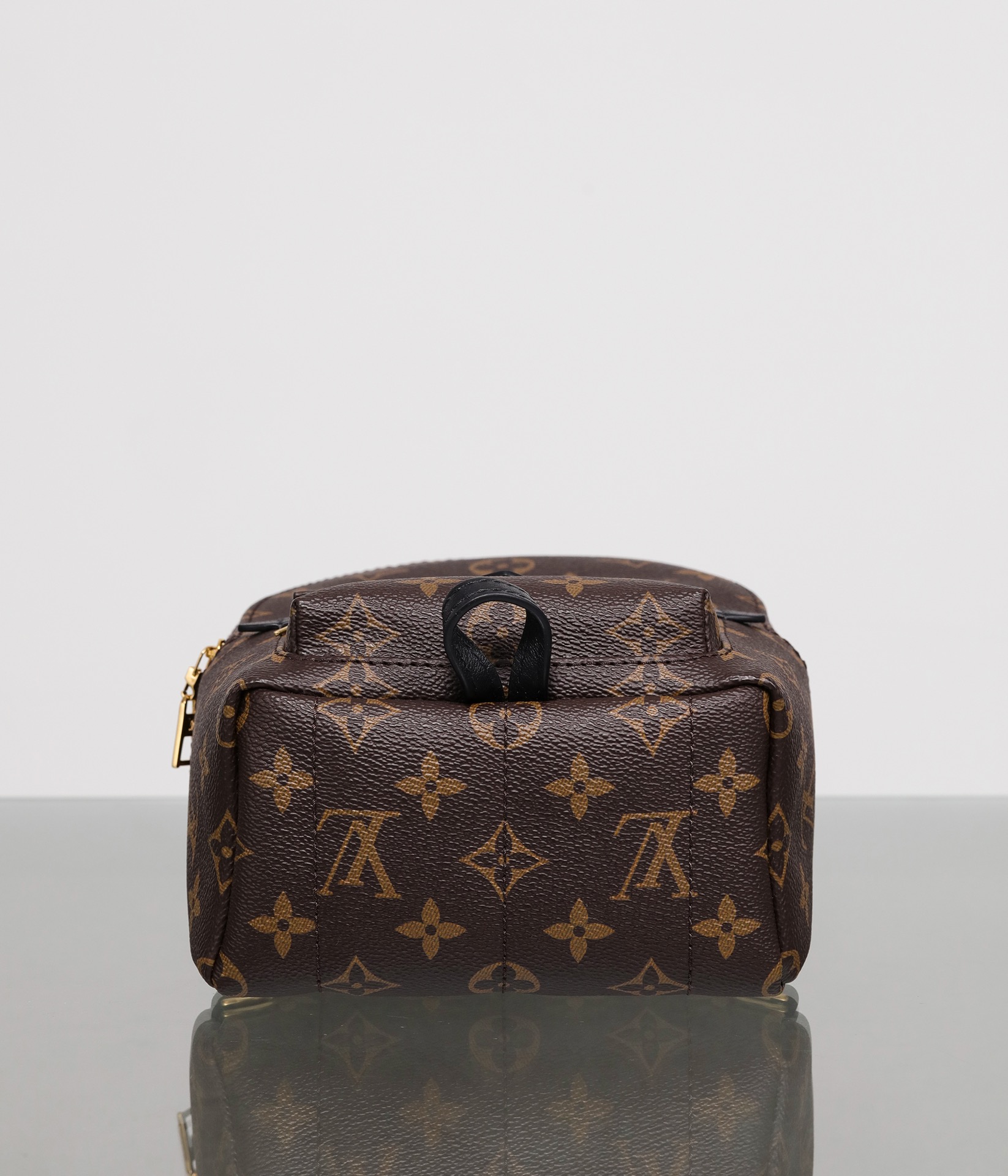 LOUIS VUITTON LV Monogram Palm Springs Backpack Mini - Bag