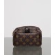 LOUIS VUITTON LV Monogram Palm Springs Backpack Mini - Bag