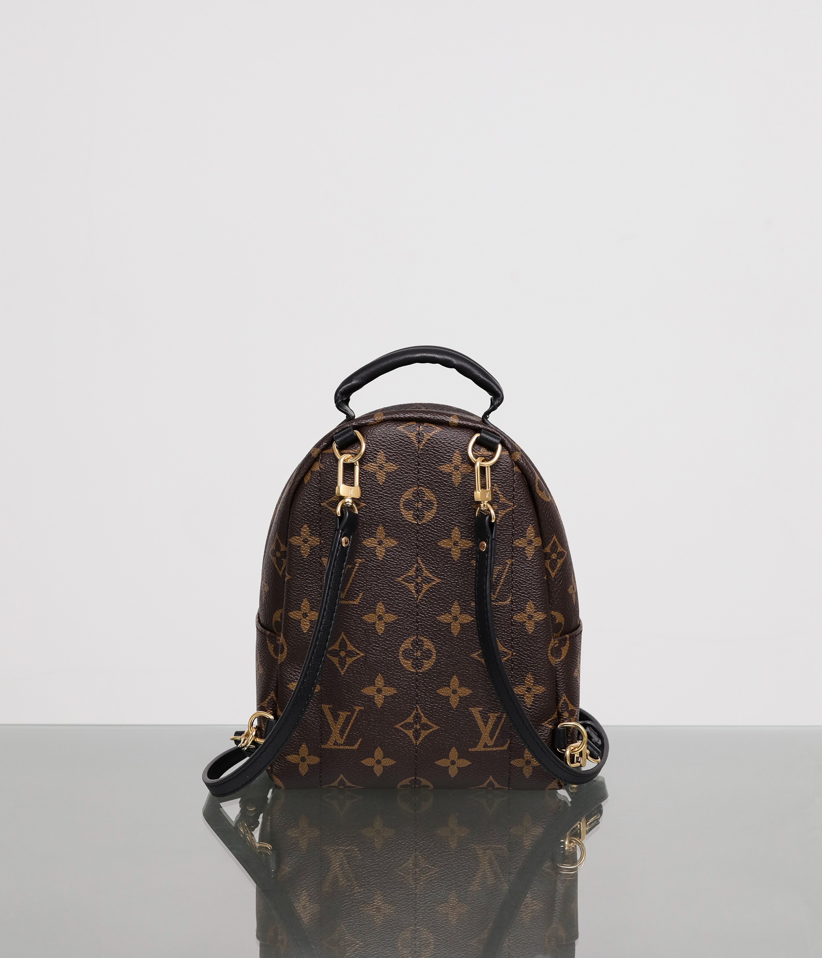 LOUIS VUITTON LV Monogram Palm Springs Backpack Mini - Bag