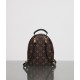 LOUIS VUITTON LV Monogram Palm Springs Backpack Mini - Bag