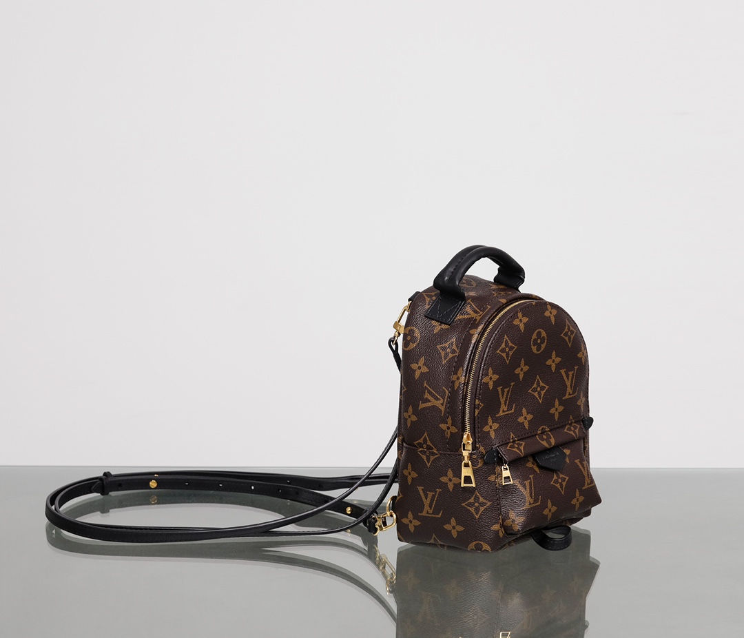 LOUIS VUITTON LV Monogram Palm Springs Backpack Mini - Bag