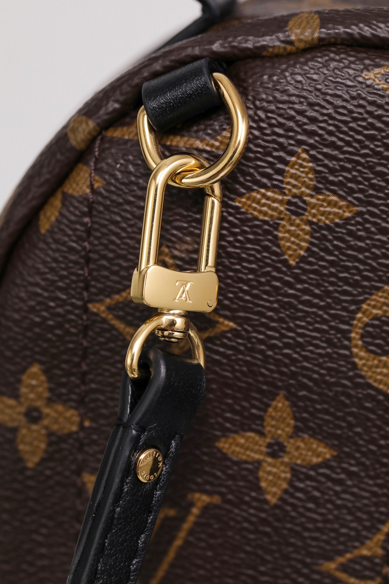 LOUIS VUITTON LV Monogram Palm Springs Backpack Mini - Bag