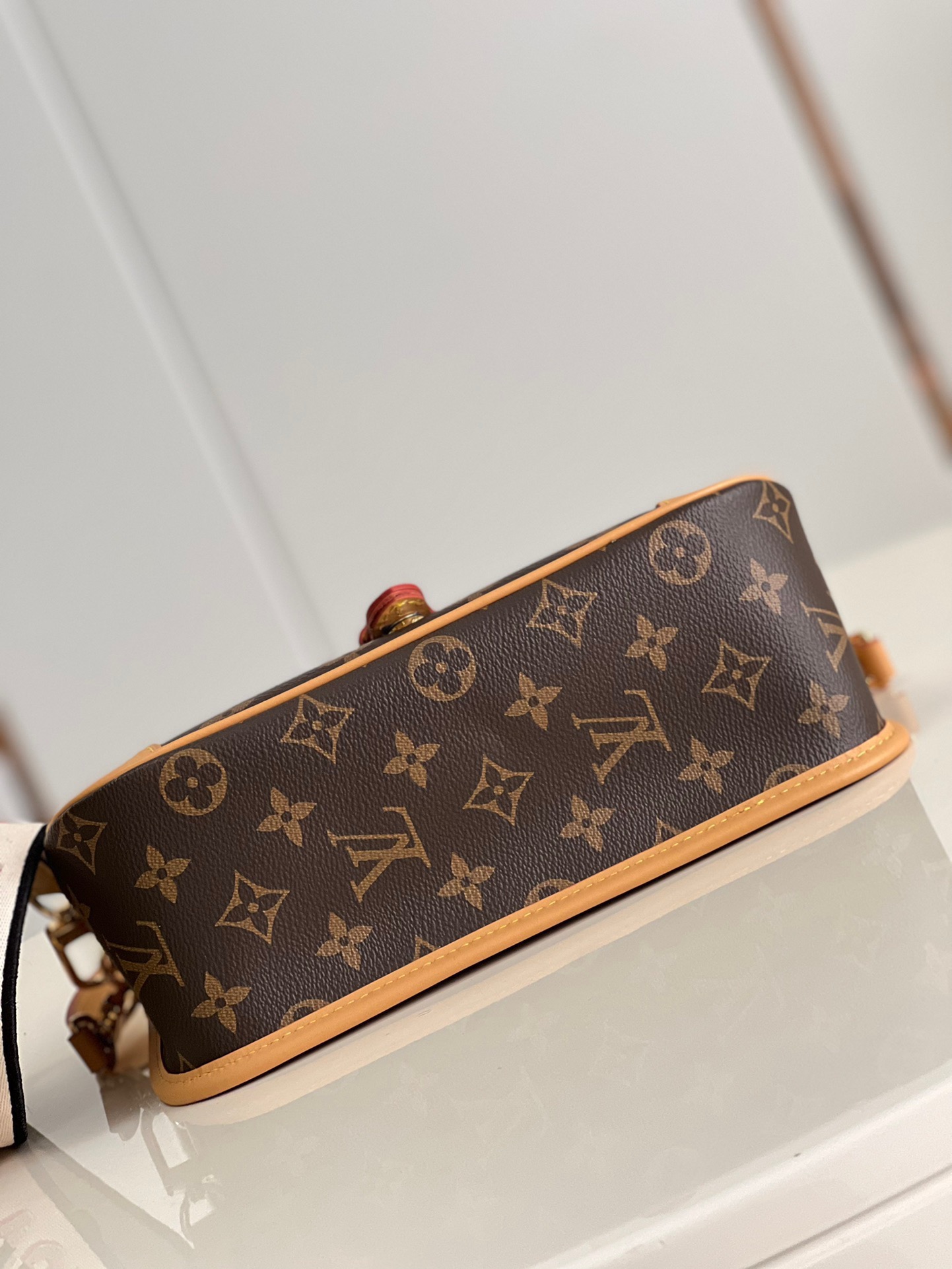 Louis Vuitton LV Diane NM Handbag Monogram Canvas - Bag