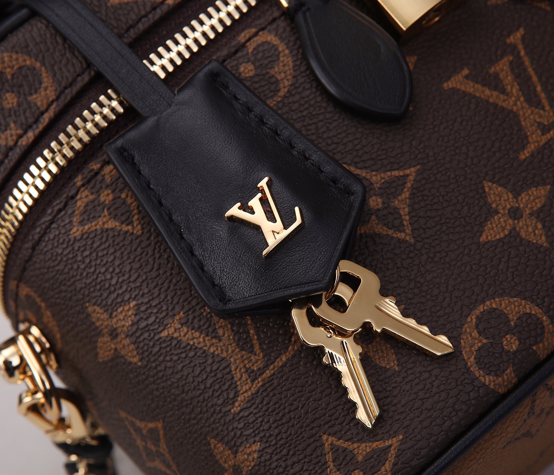 Louis Vuitton Vanity Monogram Reverse PM Brown - Bag