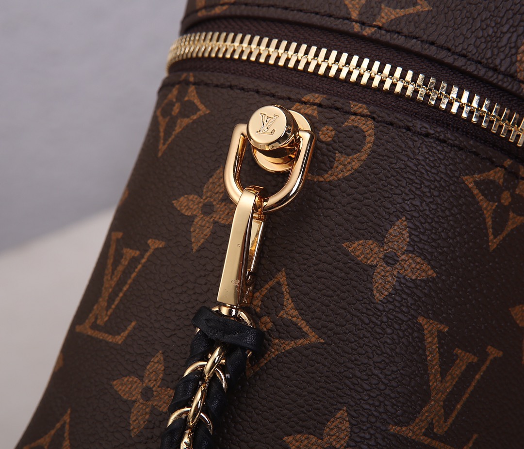 Louis Vuitton Vanity Monogram Reverse PM Brown - Bag