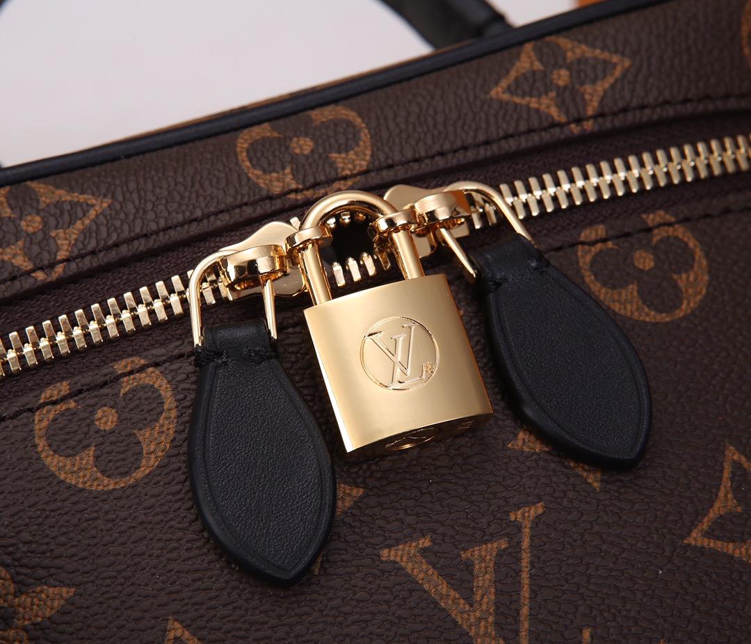 Louis Vuitton Vanity Monogram Reverse PM Brown - Bag